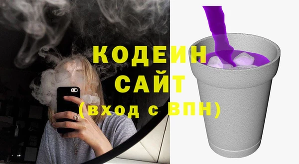 прущие грибы Бугульма