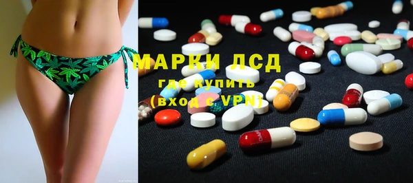 прущие грибы Бугульма