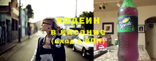 прущие грибы Бугульма