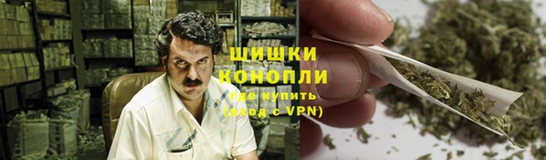 прущие грибы Бугульма