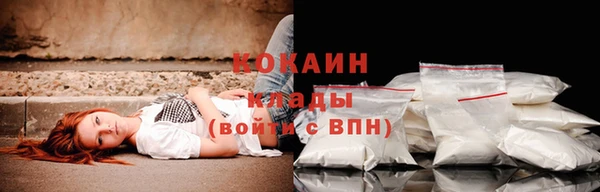 прущая мука Бородино