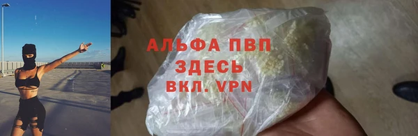 прущие грибы Бугульма