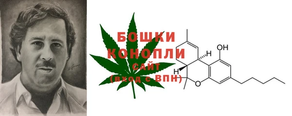 ПСИЛОЦИБИНОВЫЕ ГРИБЫ Бронницы