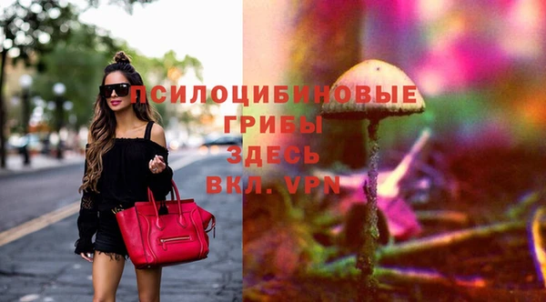 прущие грибы Бугульма