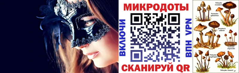 Галлюциногенные грибы Psilocybine cubensis  Купить где  Сковородино 